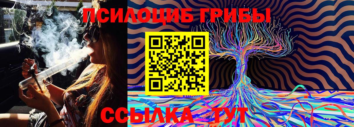 Кубинка  Галлюциногенные грибы MAGIC MUSHROOMS  Псилоцибиновые грибы Psilocybe  Вход с VPN 