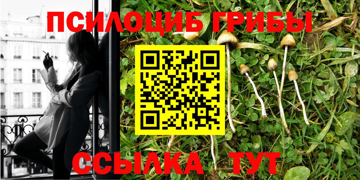 Галлюциногенные грибы MAGIC MUSHROOMS Кубинка